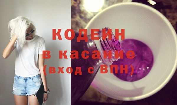 шишки Горняк