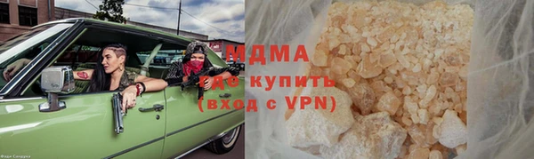 шишки Горняк