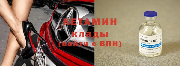 шишки Горняк