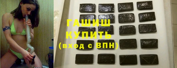 шишки Горняк