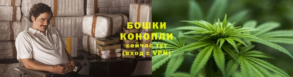 шишки Горняк