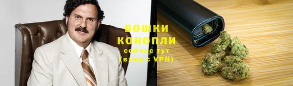 шишки Горняк