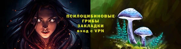 твердый Слюдянка