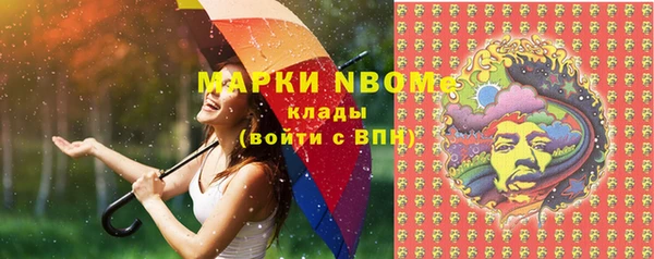 шишки Горняк