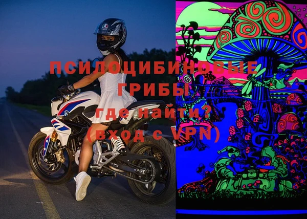 шишки Горняк
