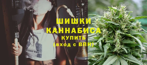 ГАЛЛЮЦИНОГЕННЫЕ ГРИБЫ Горнозаводск