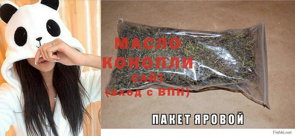 шишки Горняк