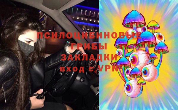 шишки Горняк
