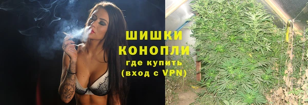 шишки Горняк