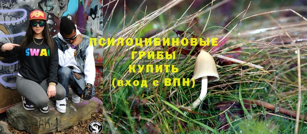 шишки Горняк