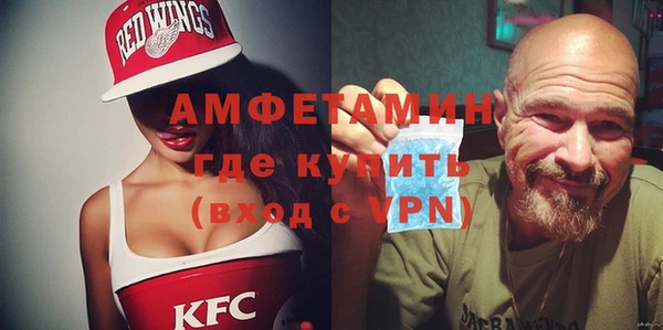 шишки Горняк