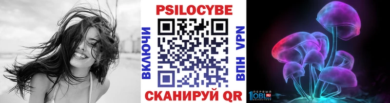 Псилоцибиновые грибы ЛСД  Купить  Петров Вал 